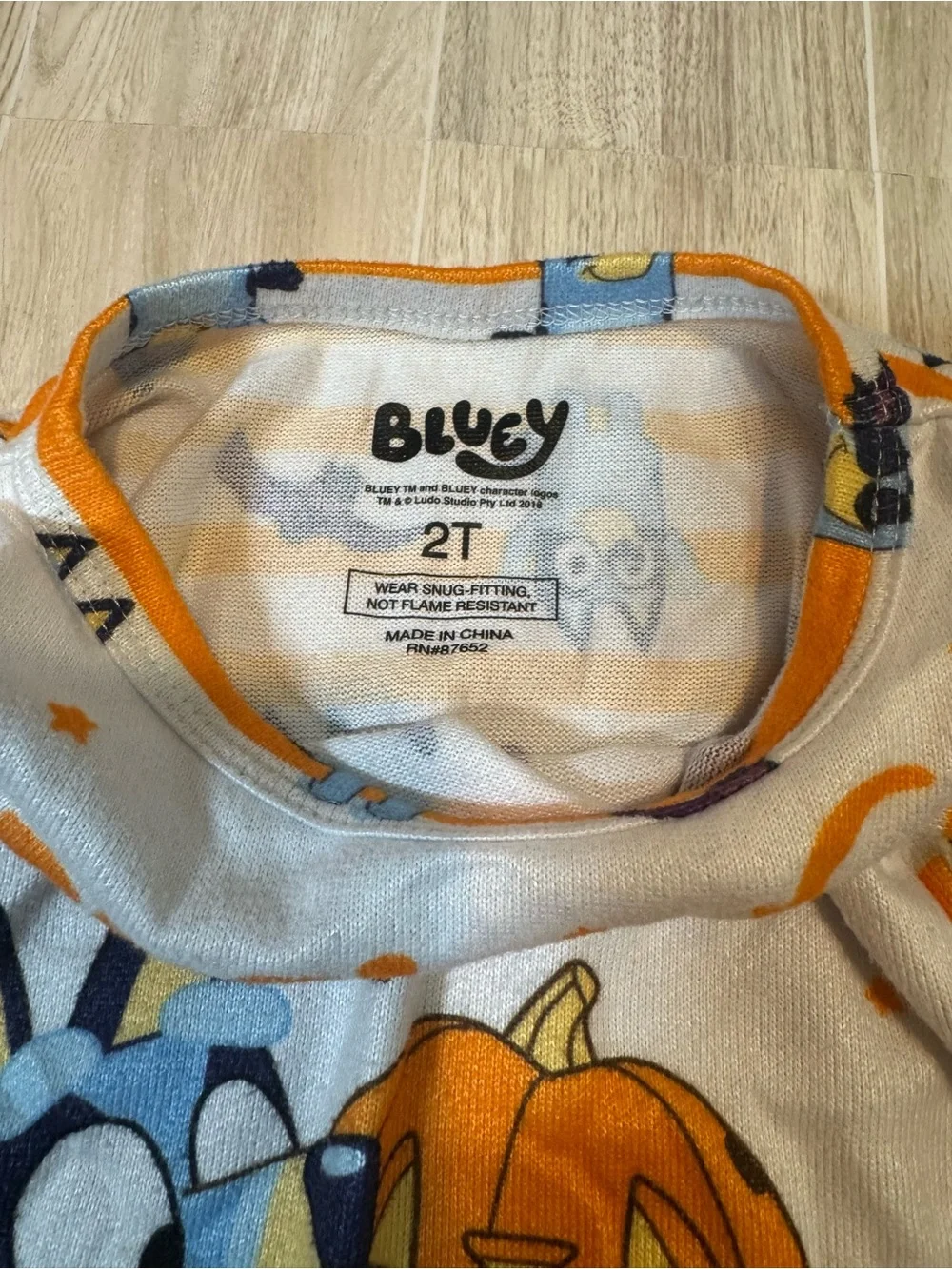 Kids Halloween Bluey Pumpkin Pajama Set - Orange & White